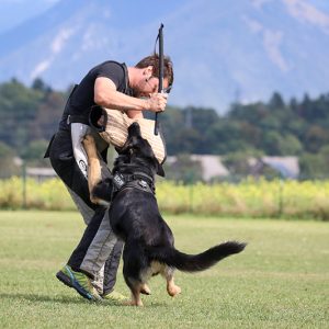Izvajanje pritiska nad psom med treningom obrambe, 2021