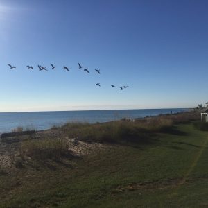 ZDA - Pogled na Lake Michigan iz hotela